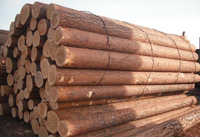 木材進口清關代理公司操作案例分享